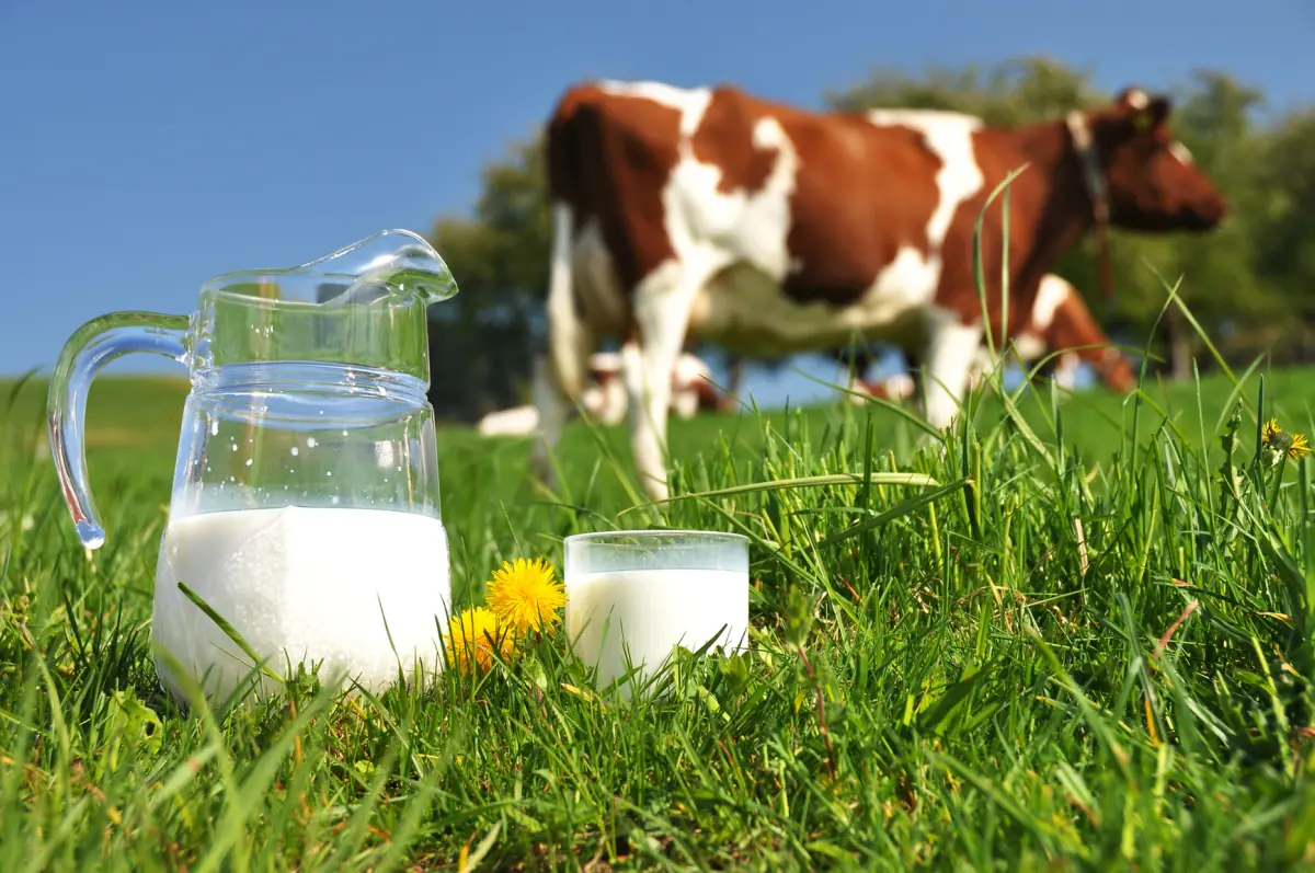 10 Alimentos que no sabias que perjudican al...