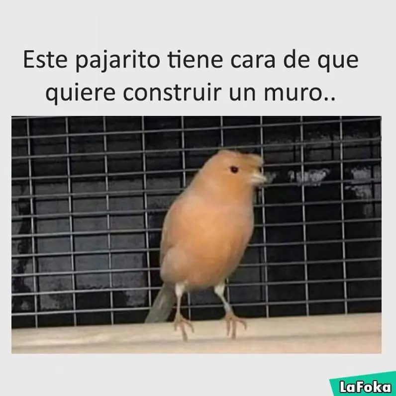 viernes