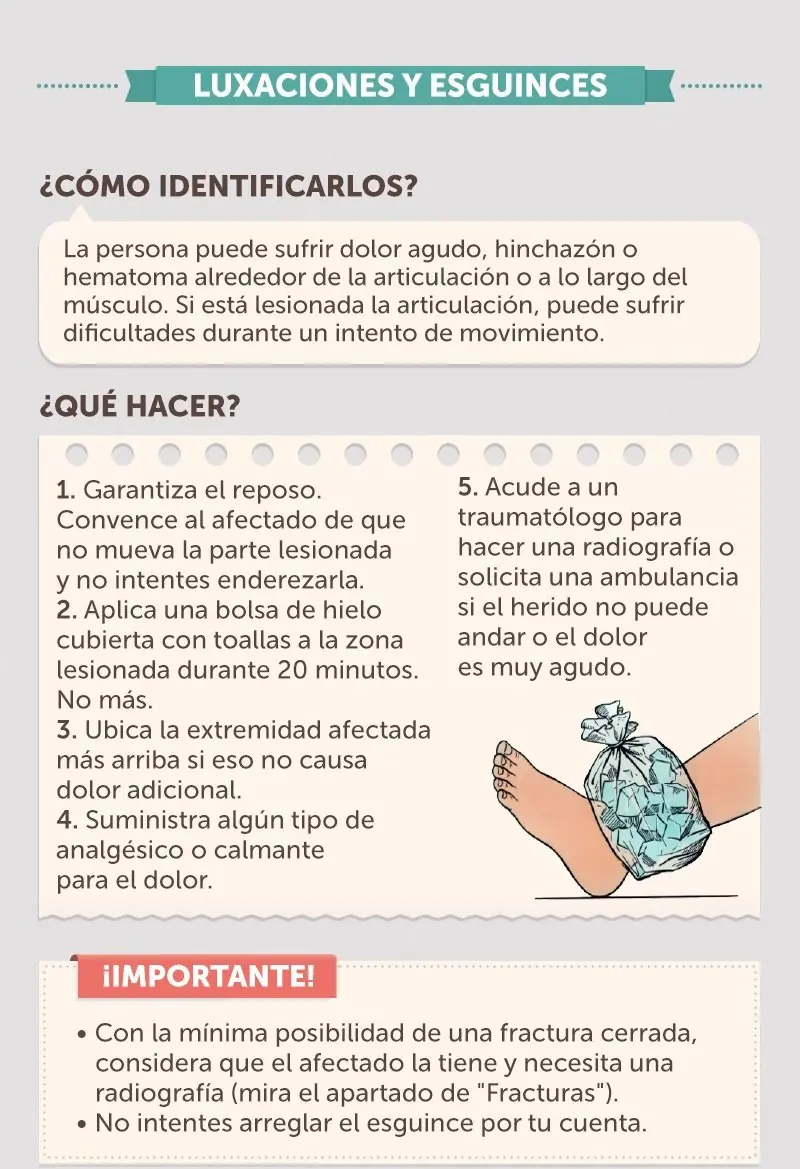 guia