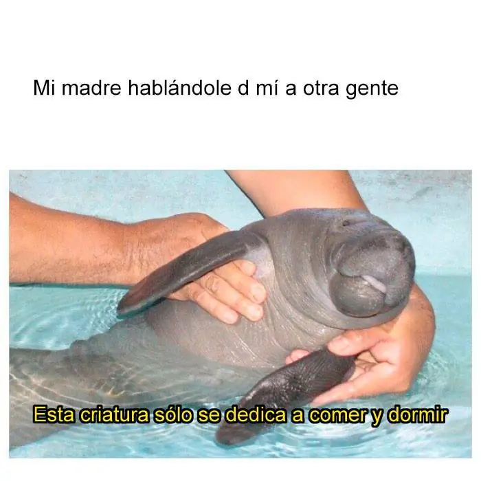 humor megapost