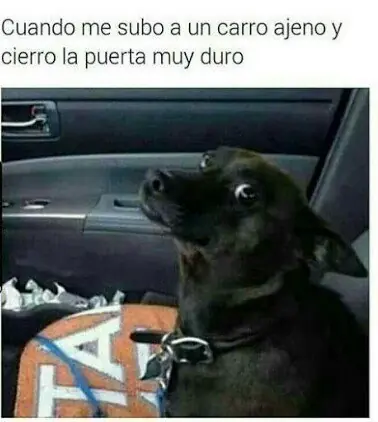 humor