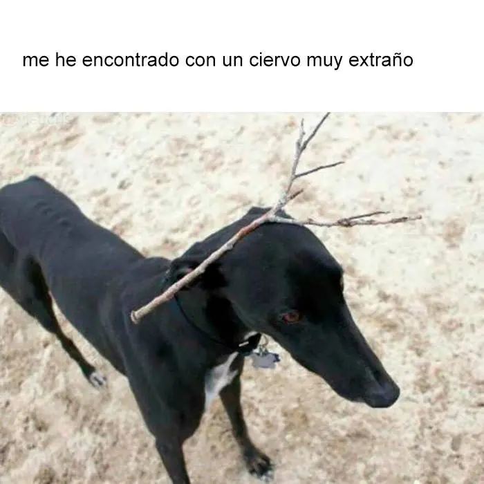 2017
