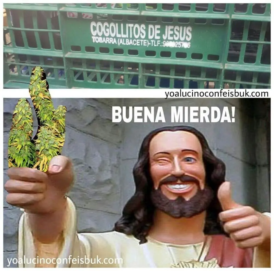 taringa