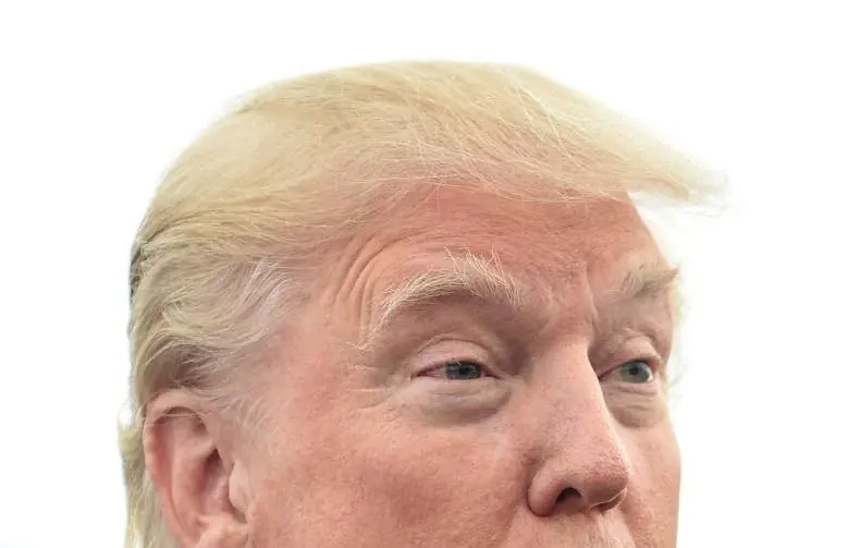 Pelo de Donald Trump 5 datos curiosos que tienes que saber