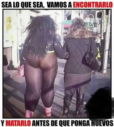 humor taringa
