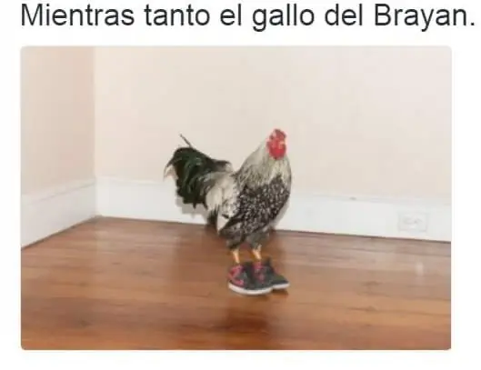 humor de viernes