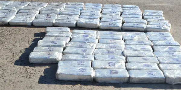 ocurrio en cordoba secuestran 2600 kilos de marihuana gomosa