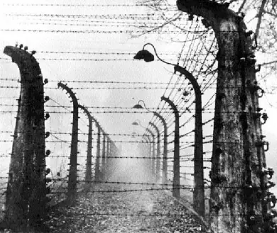 nazis