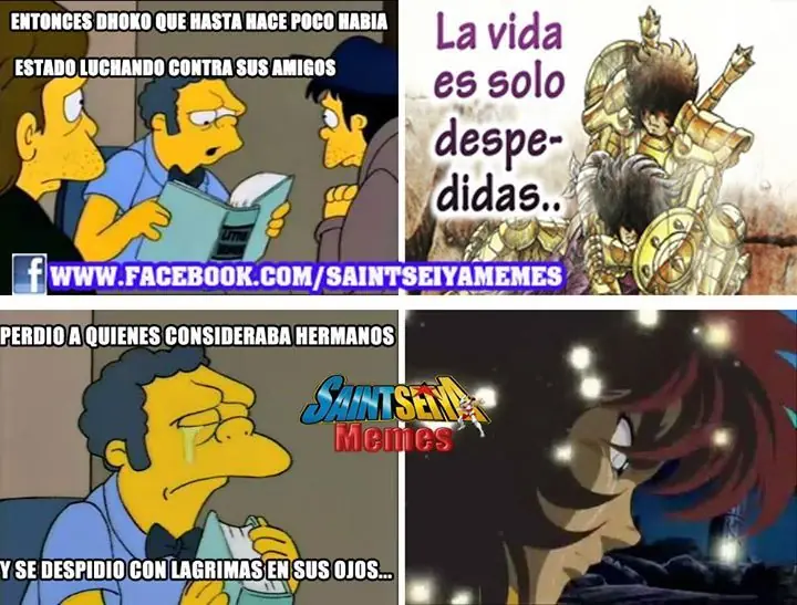 caballeros del Zodiaco