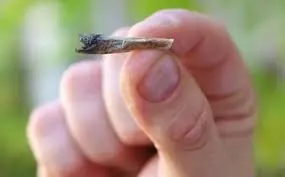 que respondiste cuando tu vieja te encontro droga(porro etc)