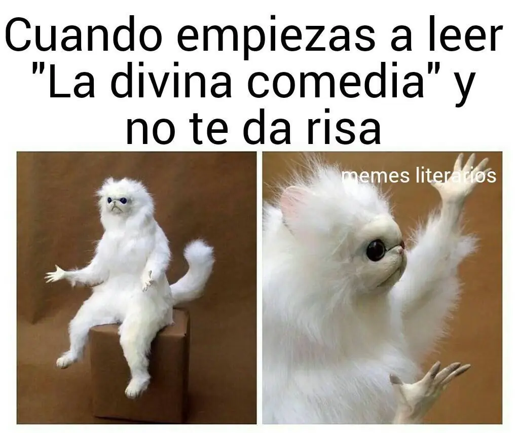humor