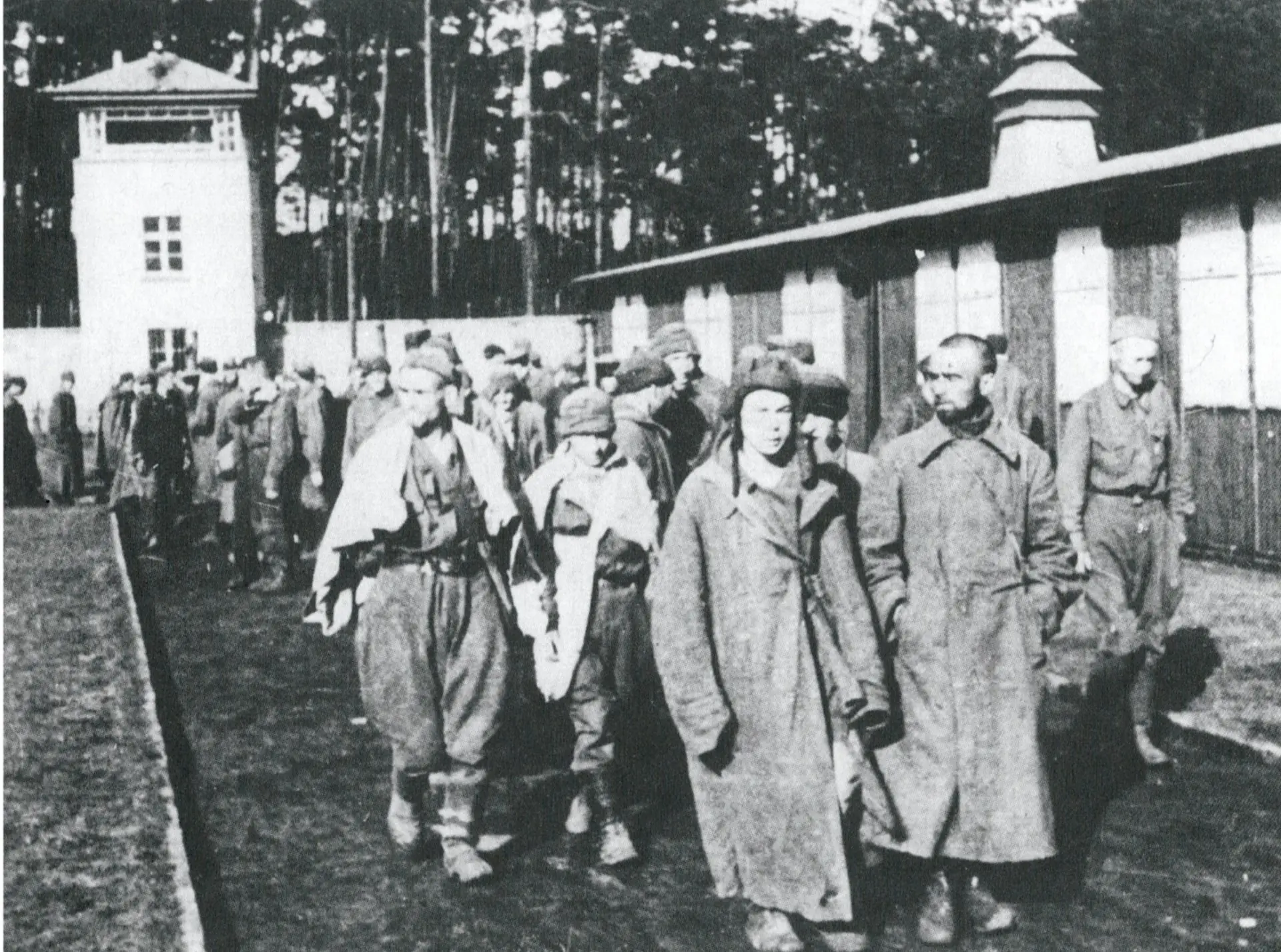 nazis