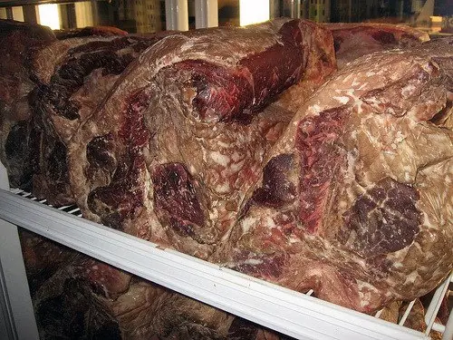 carne prodrida