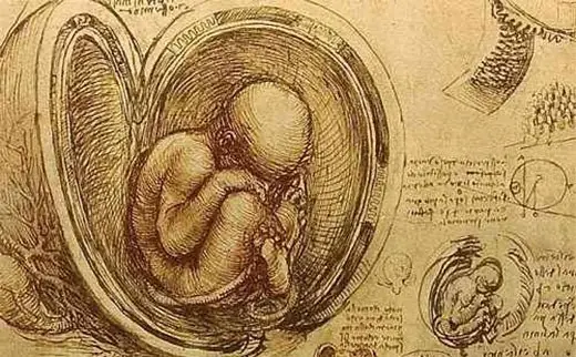 ciencia