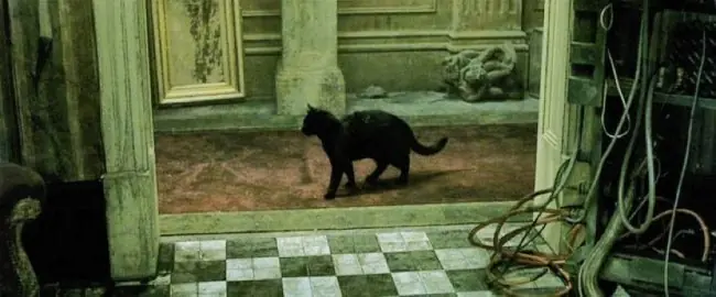 6 fenomenos