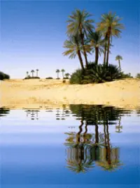 deserticos