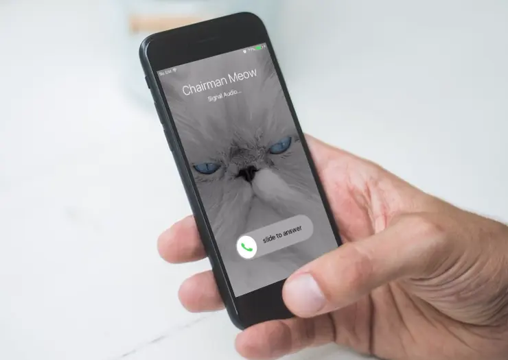 Signal lanza beta para sistema de videollamadas cifradas