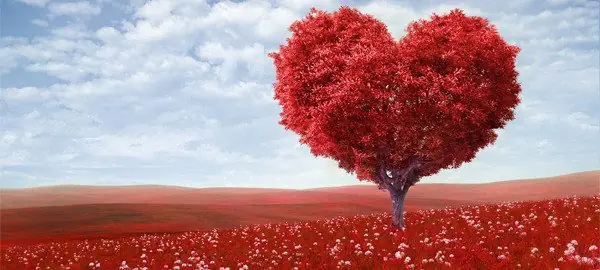 Pornhub Premium gratis hoy 14 Felíz San Valentín Taringa!