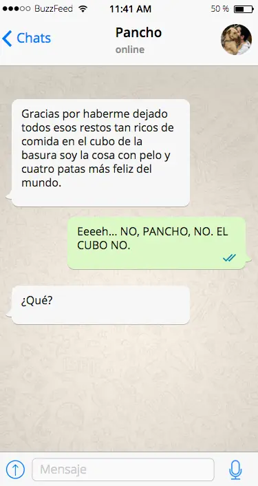 whatsapp whatsapp