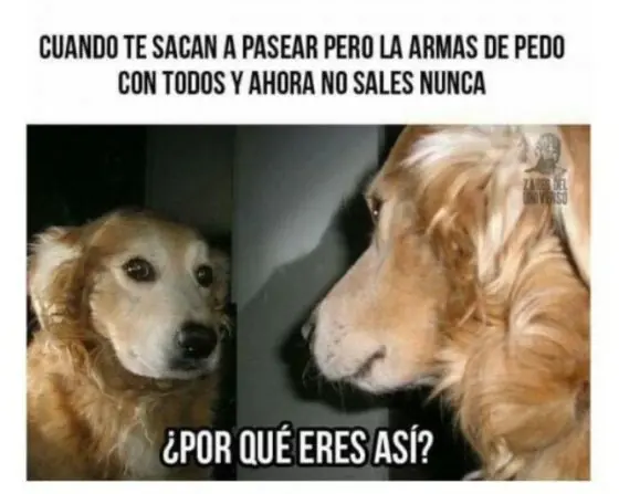 por que eres asi meme