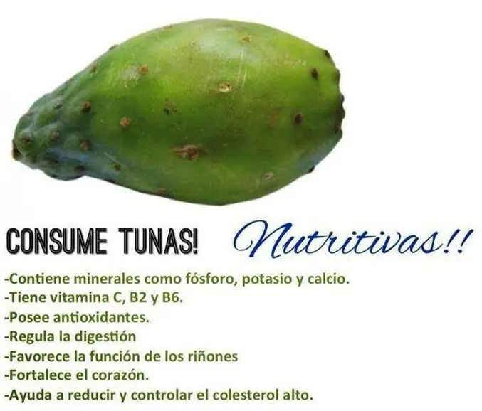 frutas tropicales
