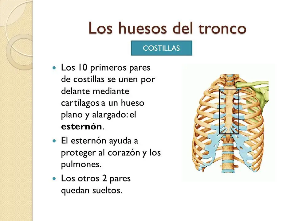 aparato