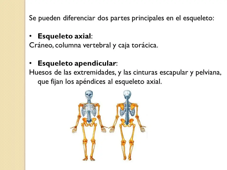sistema