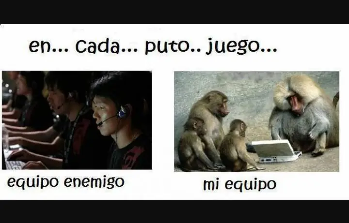 Mega compilado de memes