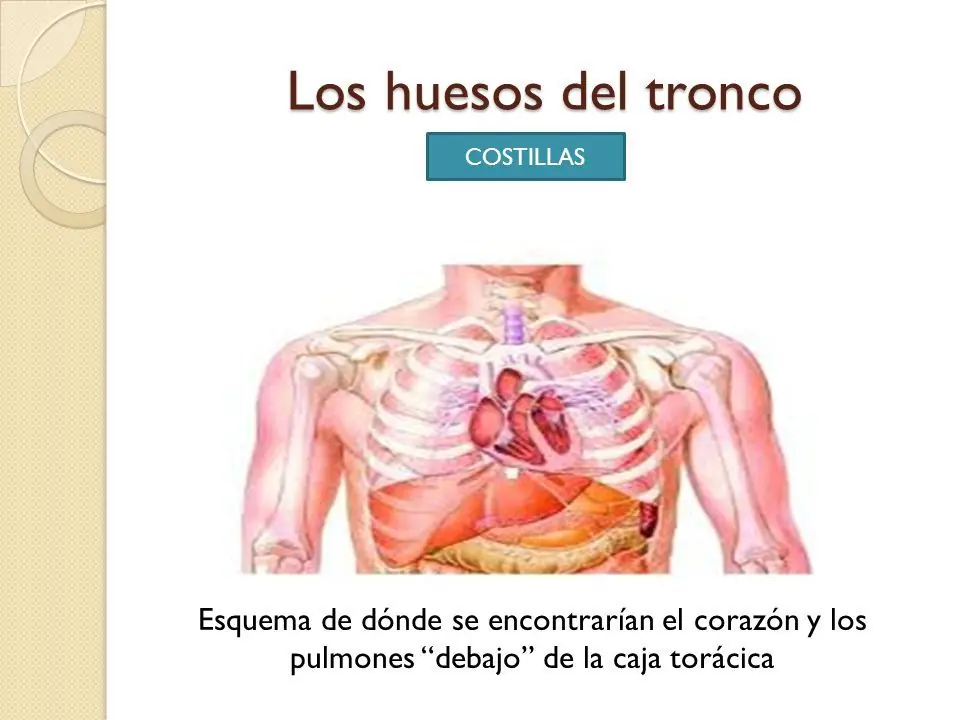 funcion