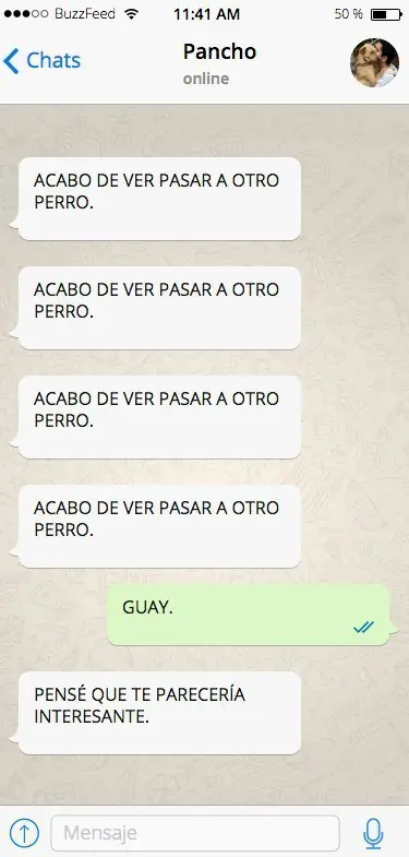 perro perro