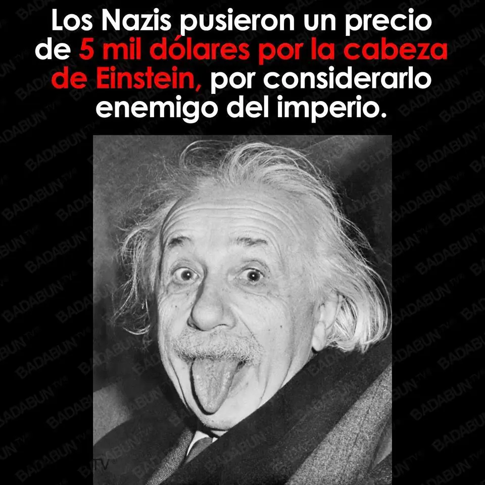 cosas que no sabias de los nazis