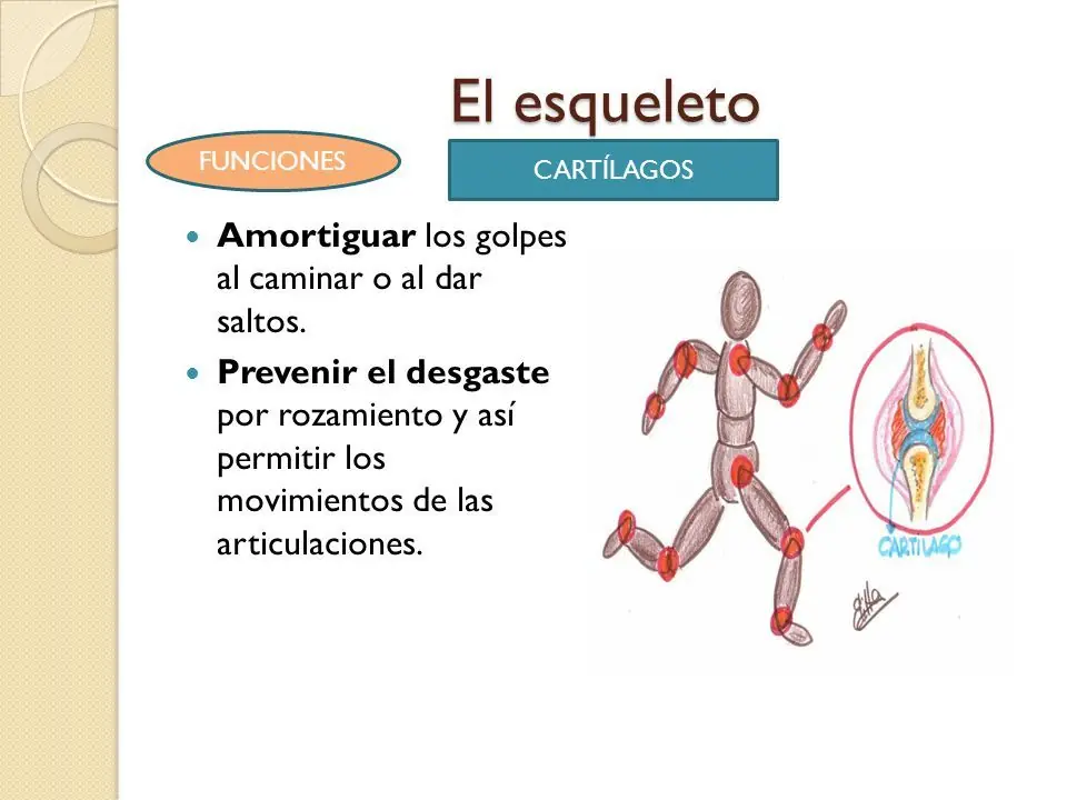 locomotor