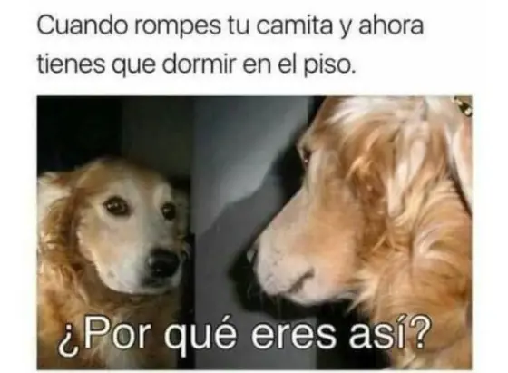 por que eres asi meme
