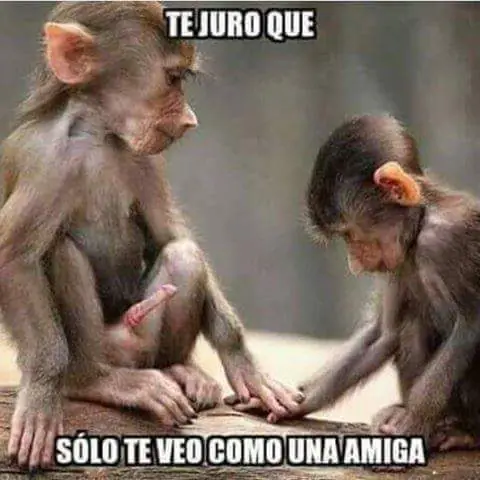 humor de todo tipo