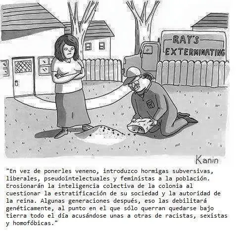 humor grafico