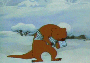 Que cosa es la nutria?
