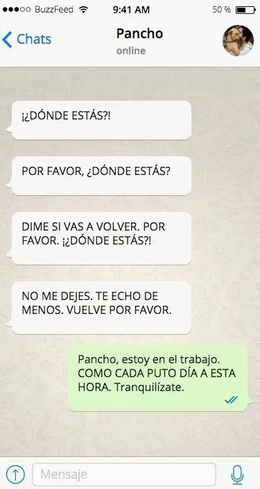 perro