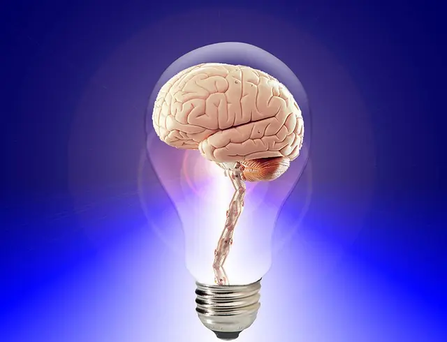 Nueve fascinantes aspectos sobre el cerebro humano