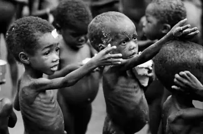donaciones