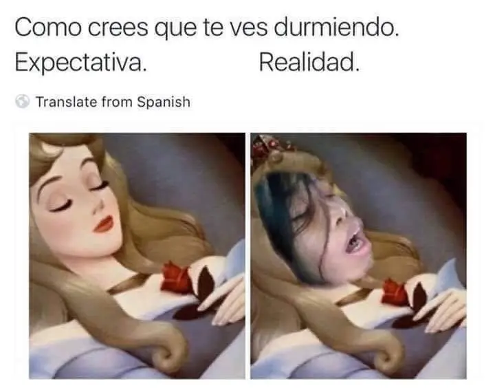 Imagenes divertidas para linces nocturnos 30 +5 si te ries