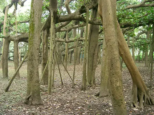 naturaleza naturaleza