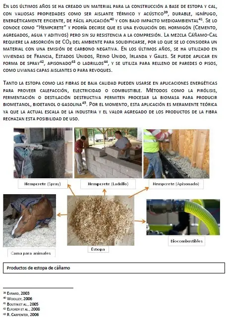 canamo argentina canamo argentina