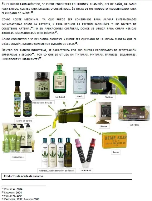 cannabis sativa cannabis sativa