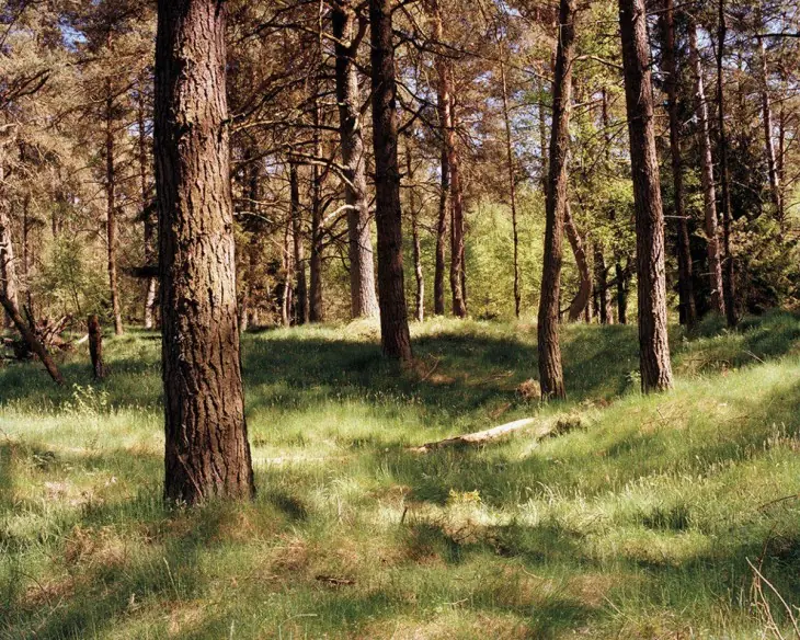 escondido