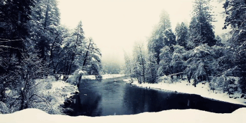 Nieve