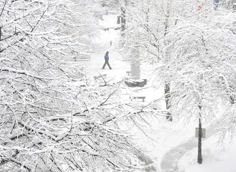 15 Datos Curiosos sobre la nieve