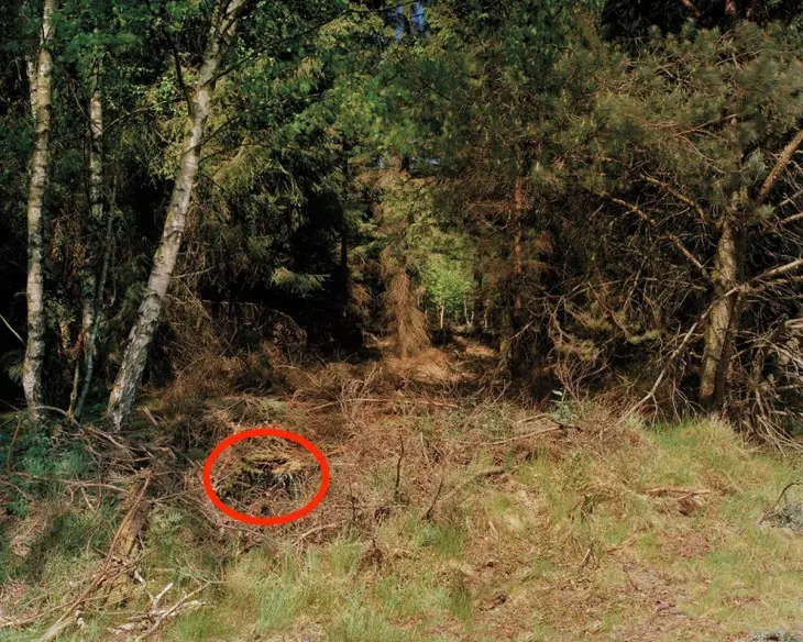 En estas fotos está escondido un francotirador ¿Podrás verlo