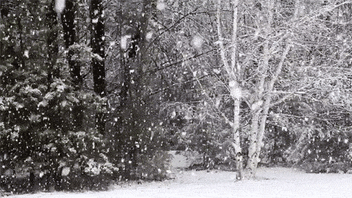 15 Datos Curiosos sobre la nieve