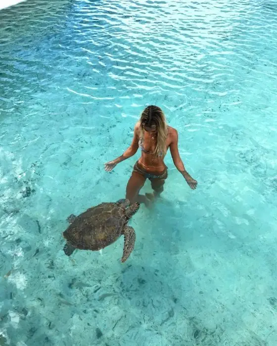 animales exoticos