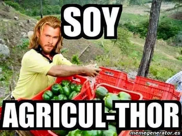 humor